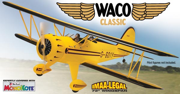 Great best sale planes biplane