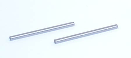 LOSI LOSA2031 GTX Inner Rear Hinge Pins  *DISC*